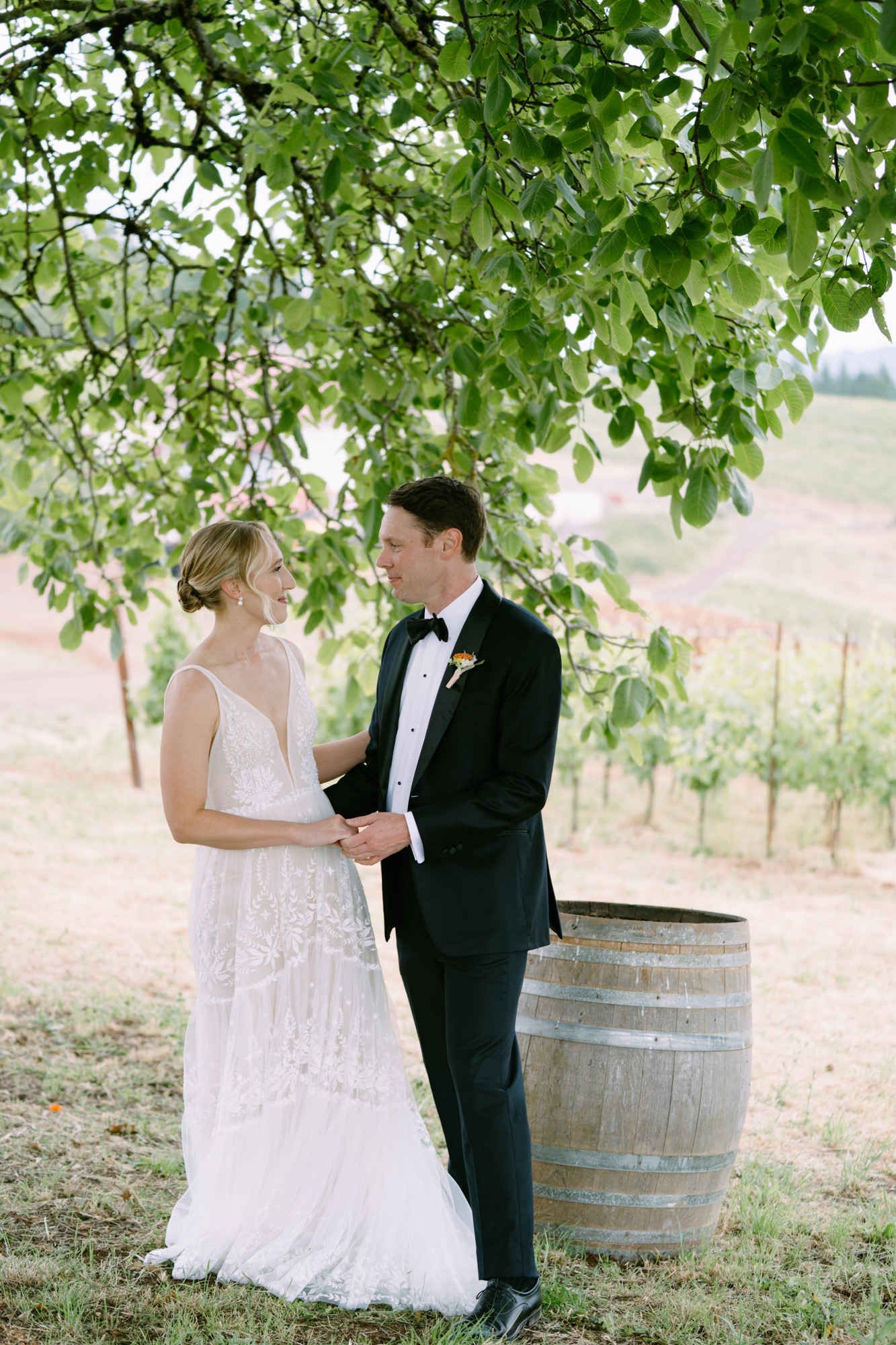A first look under the leaves of a walnut tree with vineyards in the background at the Black Walnut Inn