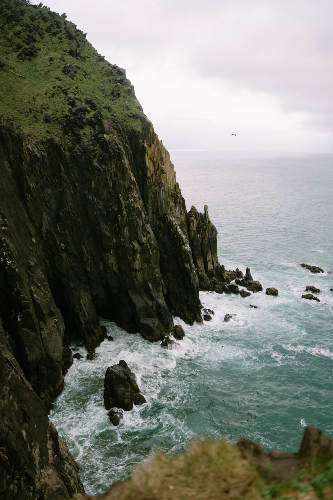 Dramatic coastal rock formation at Elk Flats rising from the Pacific, covered in sea grass with the ocean visible beyond
