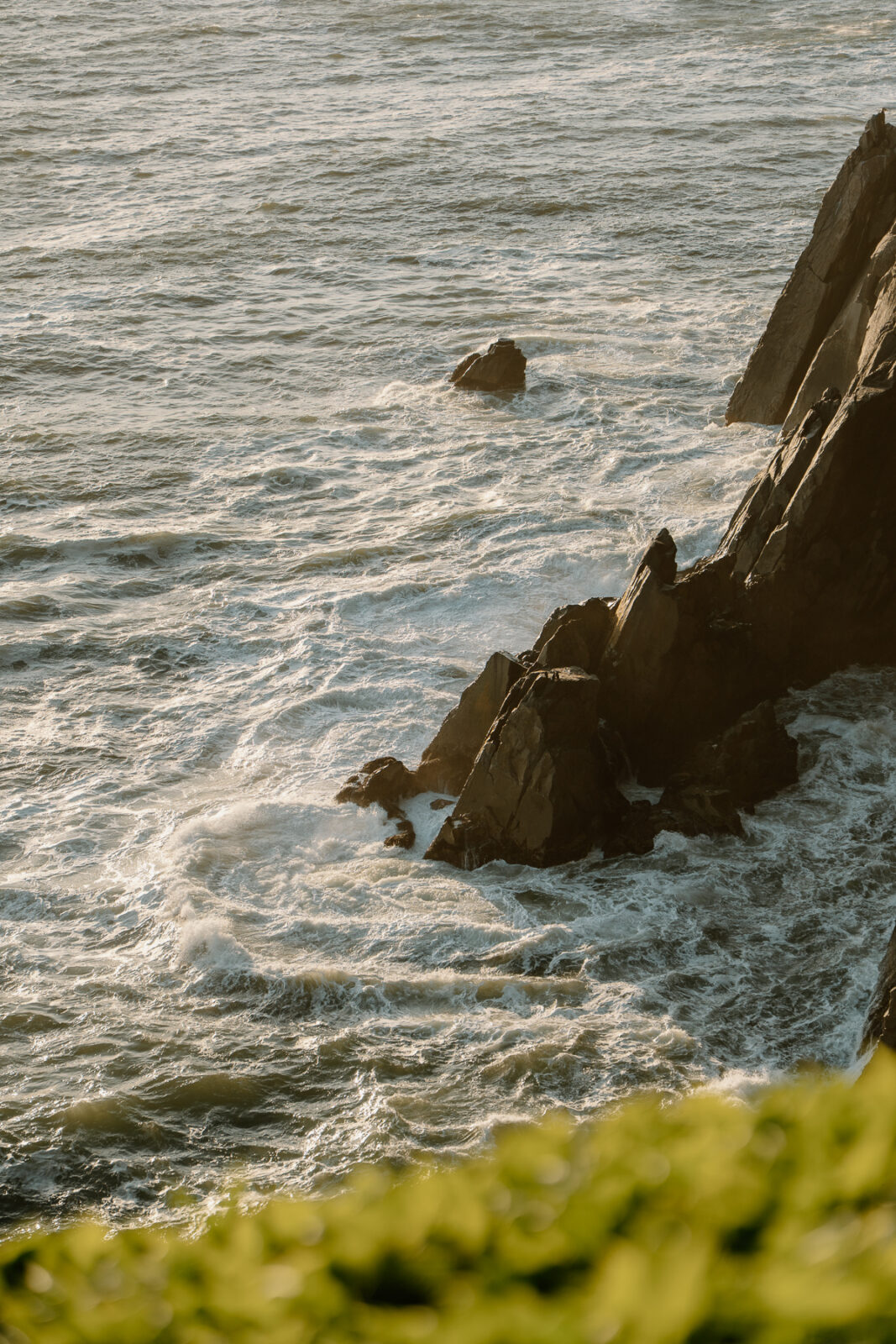 elk flats elopement photos