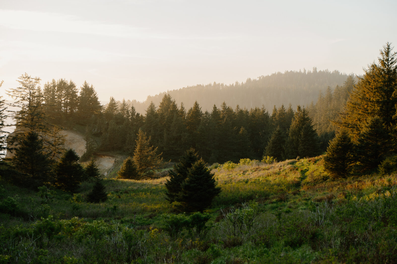 elk flats elopement photos