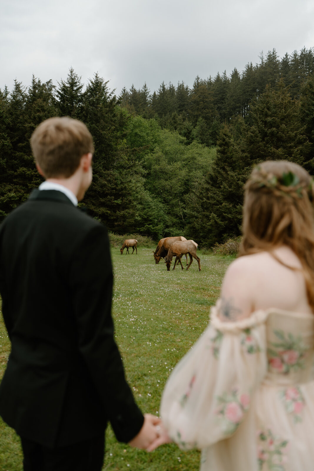 A couple holds hands and looks at a herd of elk during their Cannon Beach elopement.