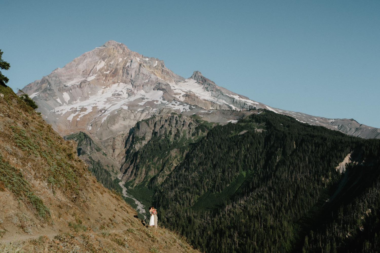 A couple stands small with the mountain behind them during their Mount Hood elopement