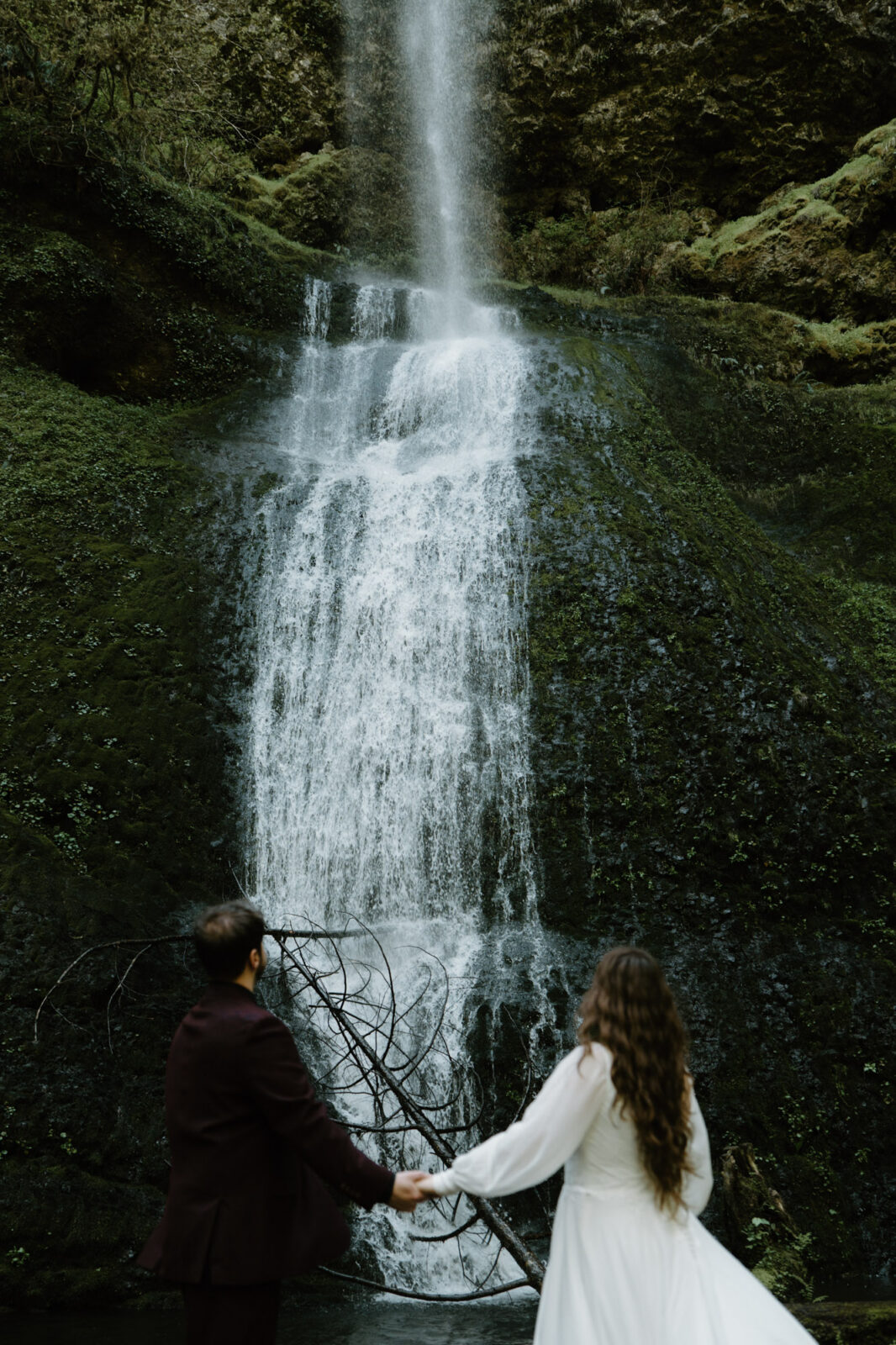 A couple holds hands and looks at a waterfall at a Silver Falls elopement