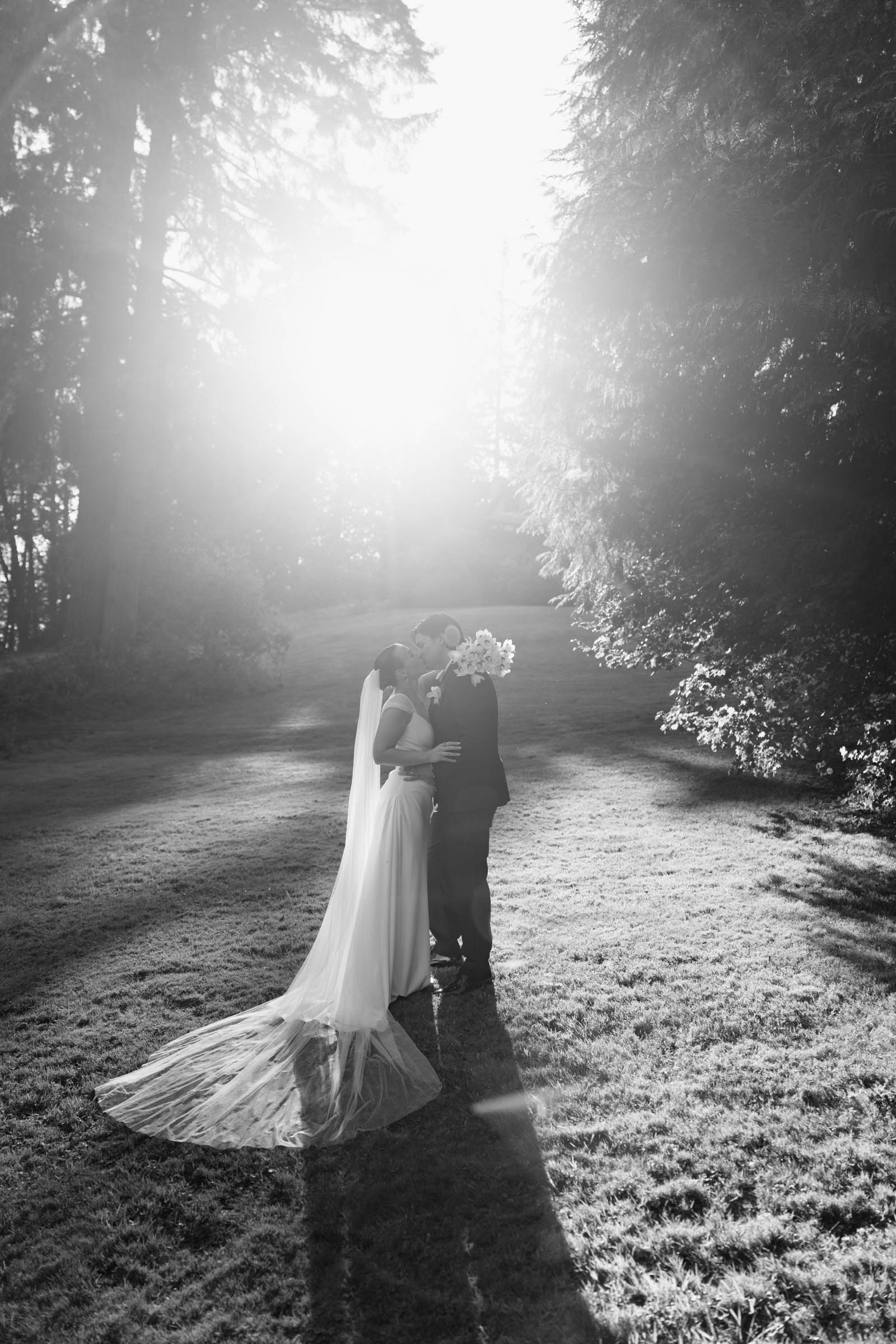 Backlit wedding portrait at Anker Place, couple embracing in a sunlit clearing with the veil across the grass