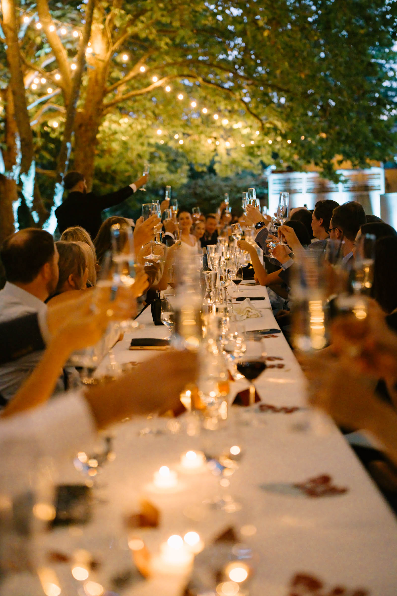 Candlelit reception at an Anker Place wedding, one long table under string lights in the trees as guests raise a toast